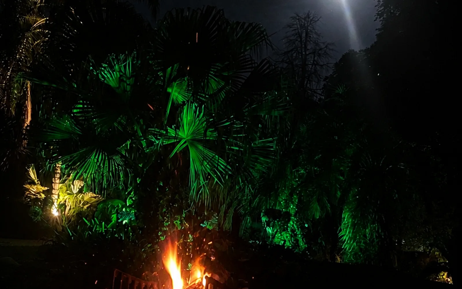 Fogón encendido de noche con luna llena entre las palmeras en Sendero Leloir