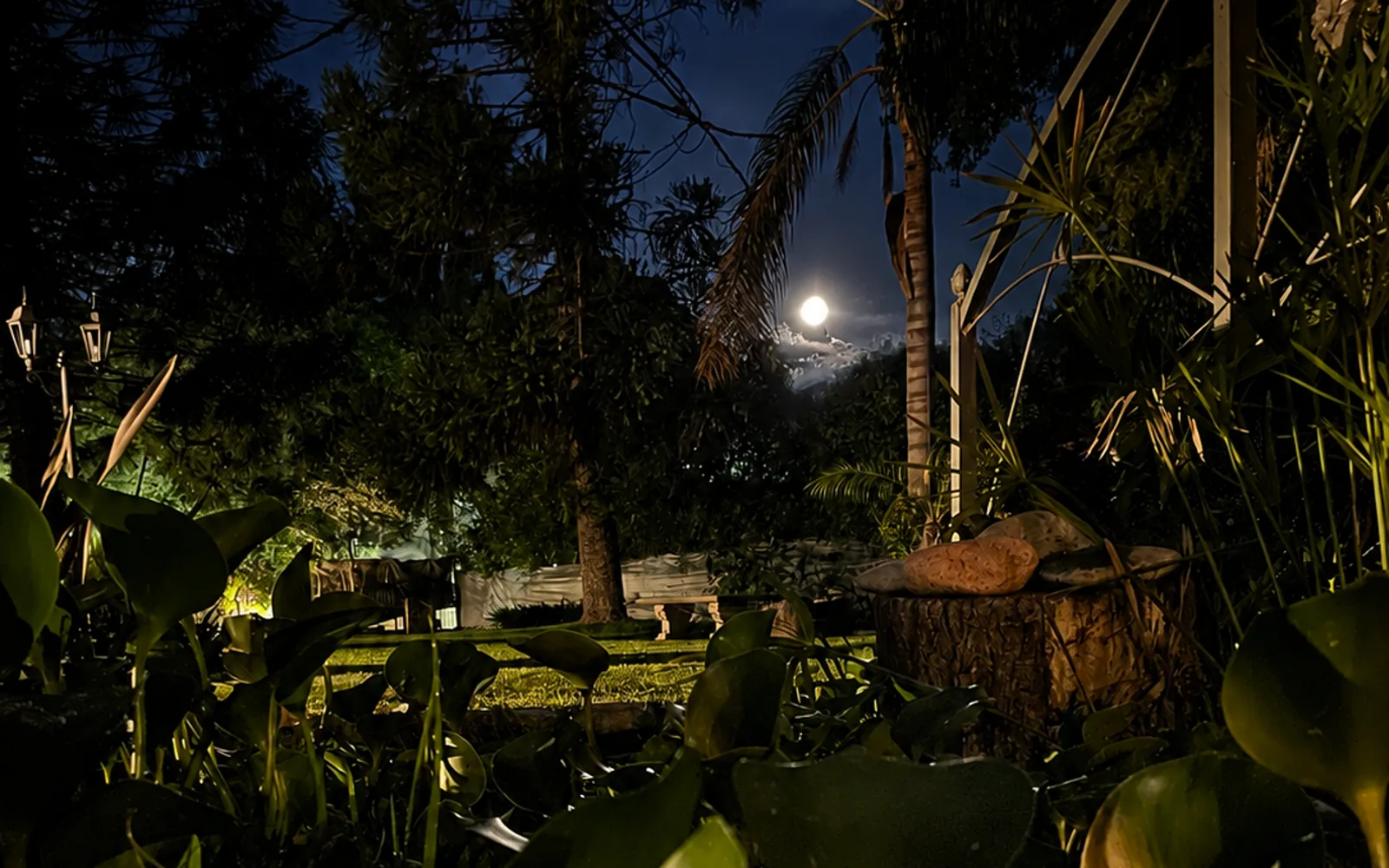 Luna llena sobre el estanque con camalotes en Sendero Leloir