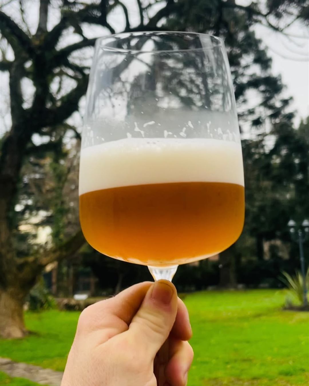 Copa de cerveza artesanal Casa Birra en el jardín