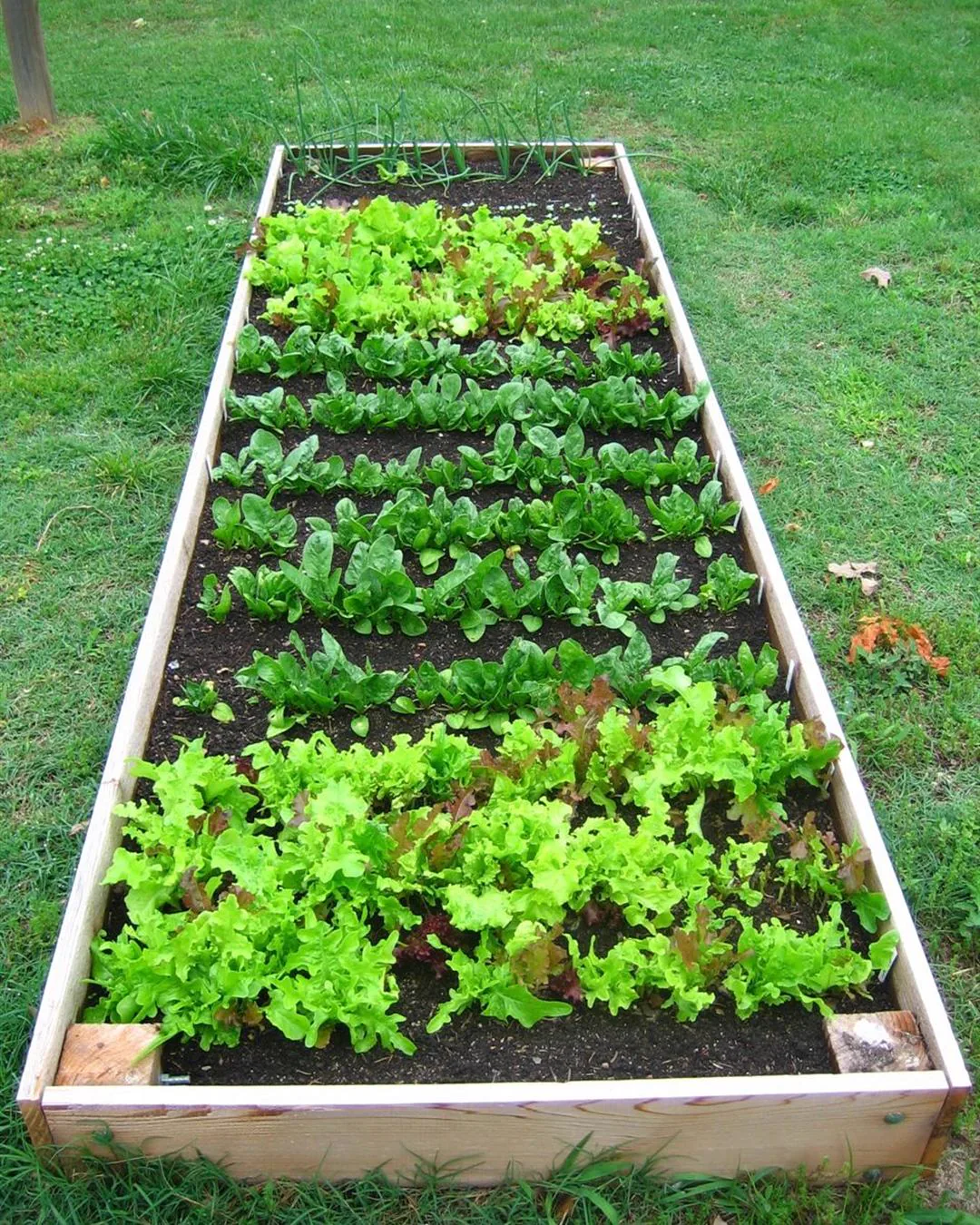 Huerta de Sendero Leloir
