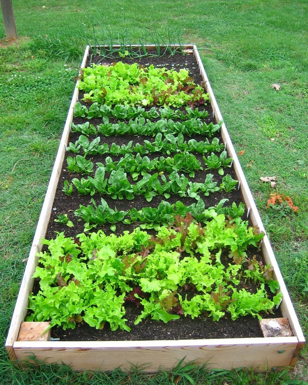 Huerta de Sendero Leloir
