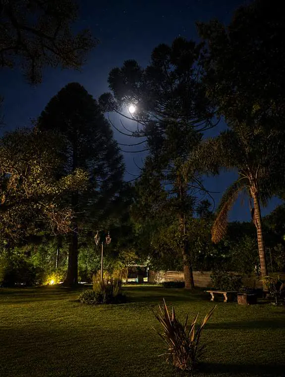 Parque de Sendero Leloir iluminado de noche bajo la luna