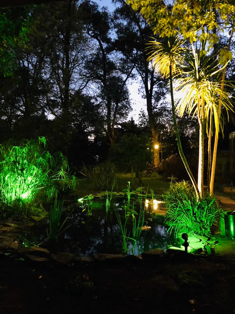 Estanque iluminado de noche con luces verdes en Sendero Leloir