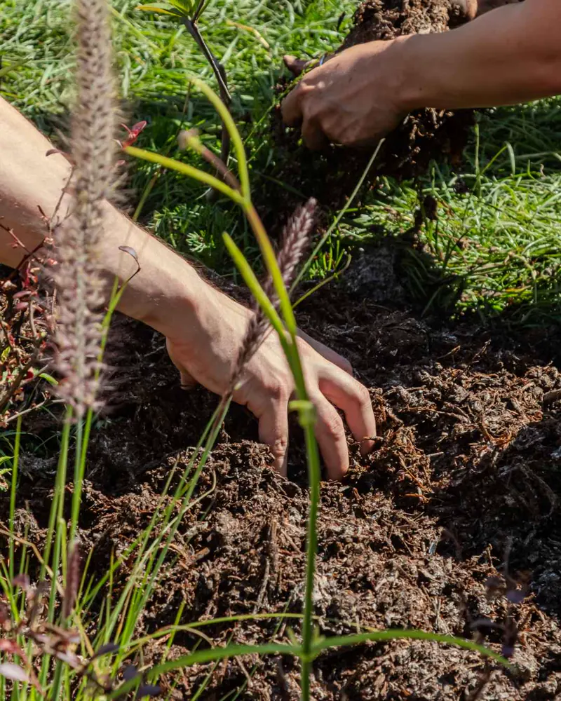 Manos trabajando la tierra en la huerta de Sendero Leloir