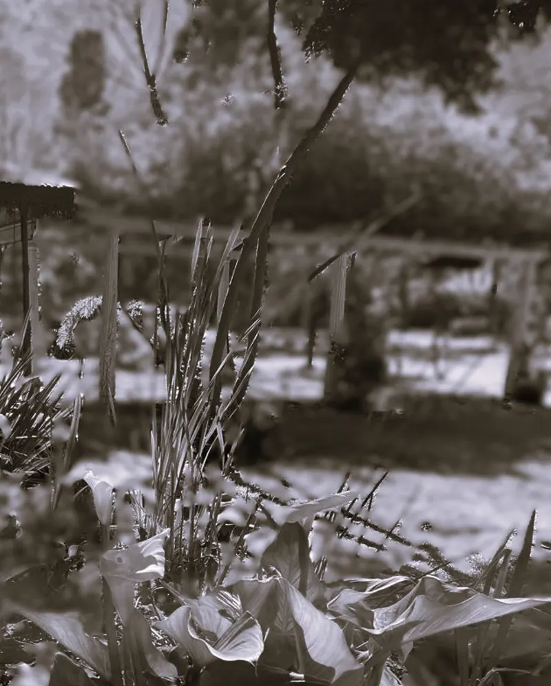 Detalle en blanco y negro de la pérgola y el jardín de Sendero Leloir