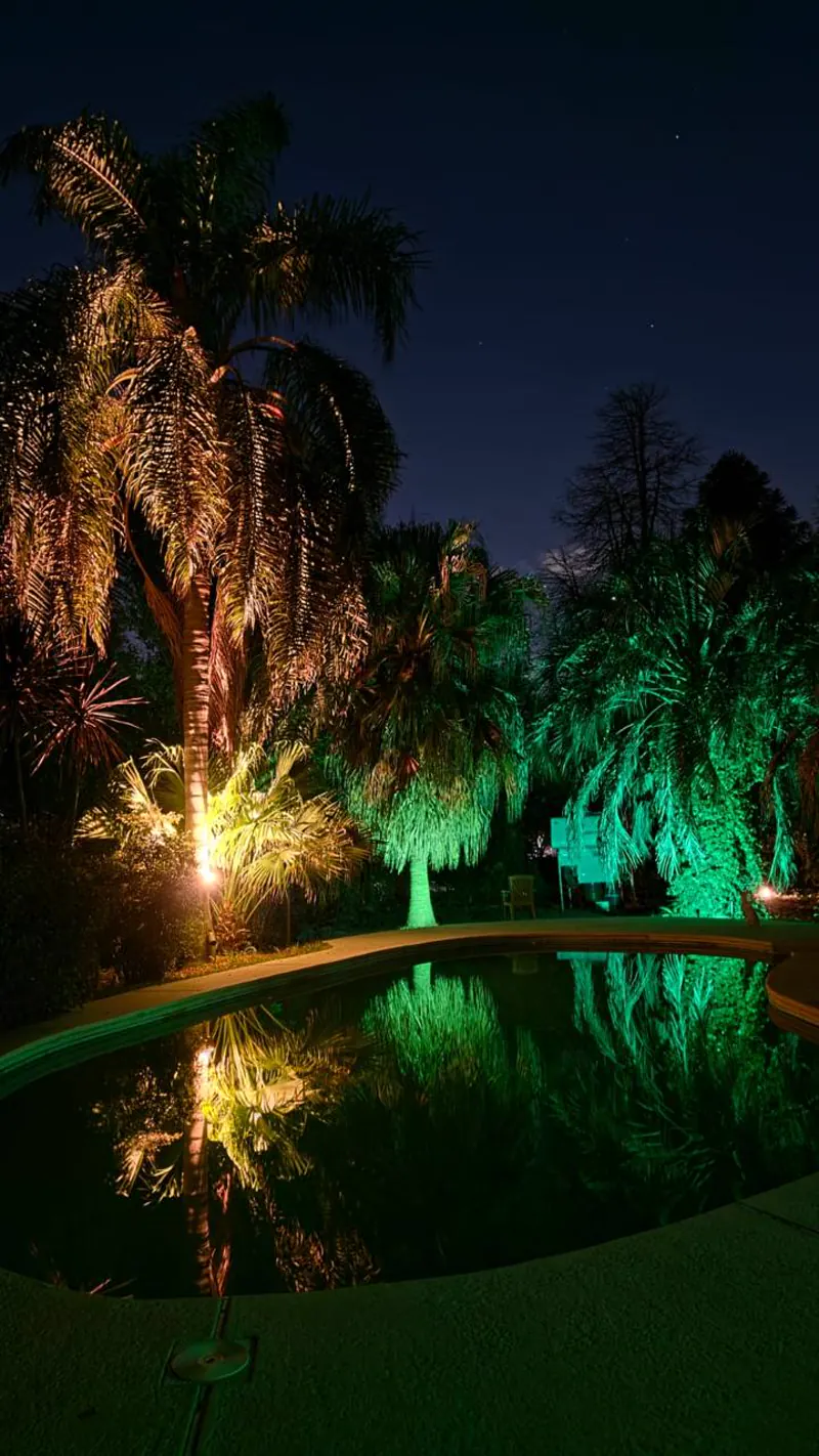 Piscina iluminada de noche entre palmeras en Sendero Leloir