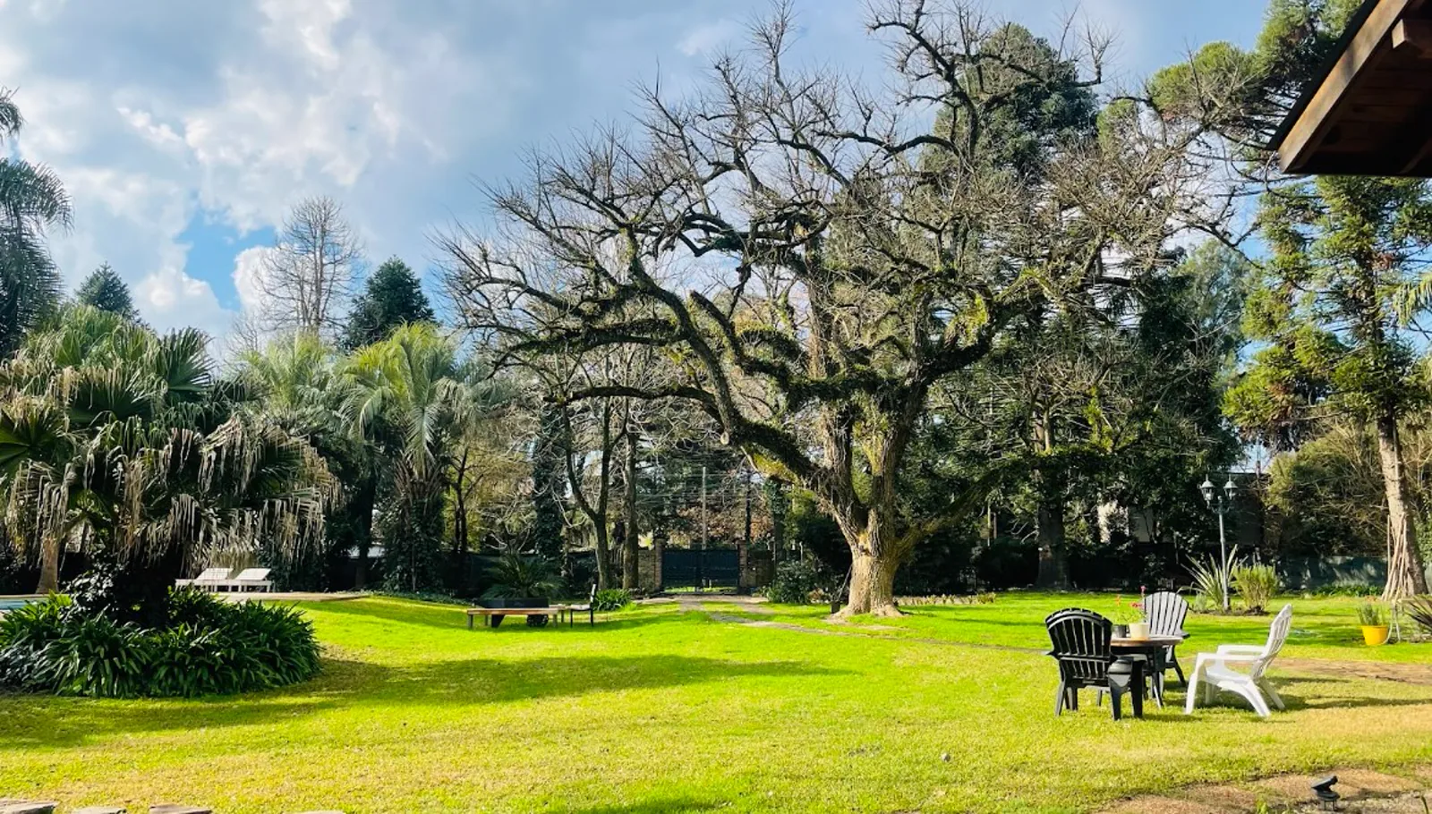 Gran ceibo y living exterior bajo los árboles en Sendero Leloir, locación para producciones