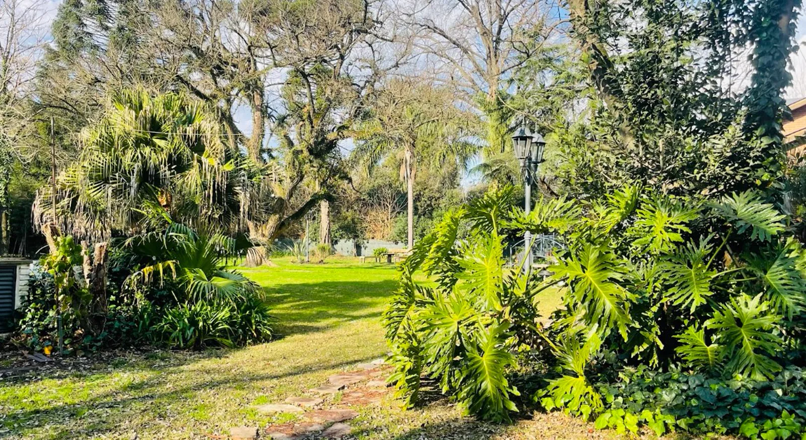 Jardín frondoso con palmeras en el parque de Sendero Leloir