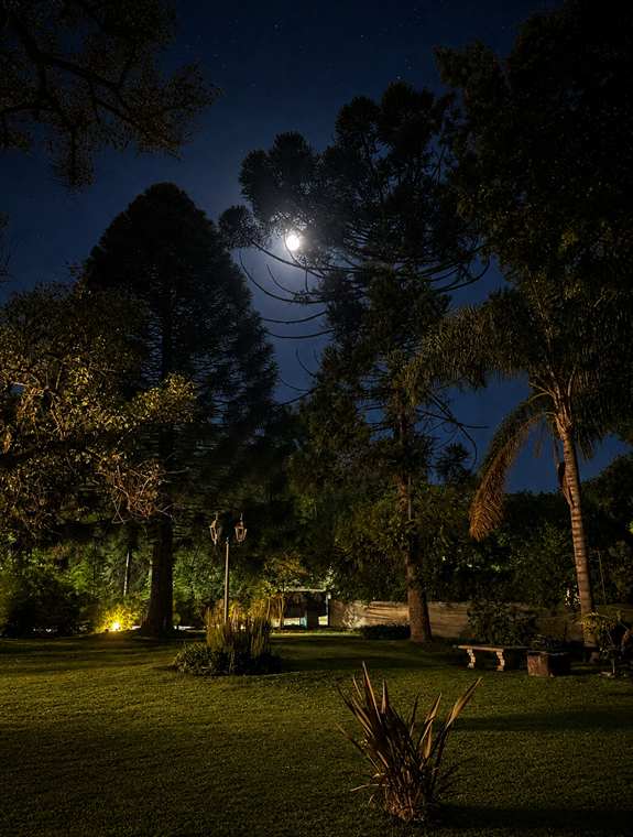 Atmósfera nocturna en el parque de Sendero Leloir